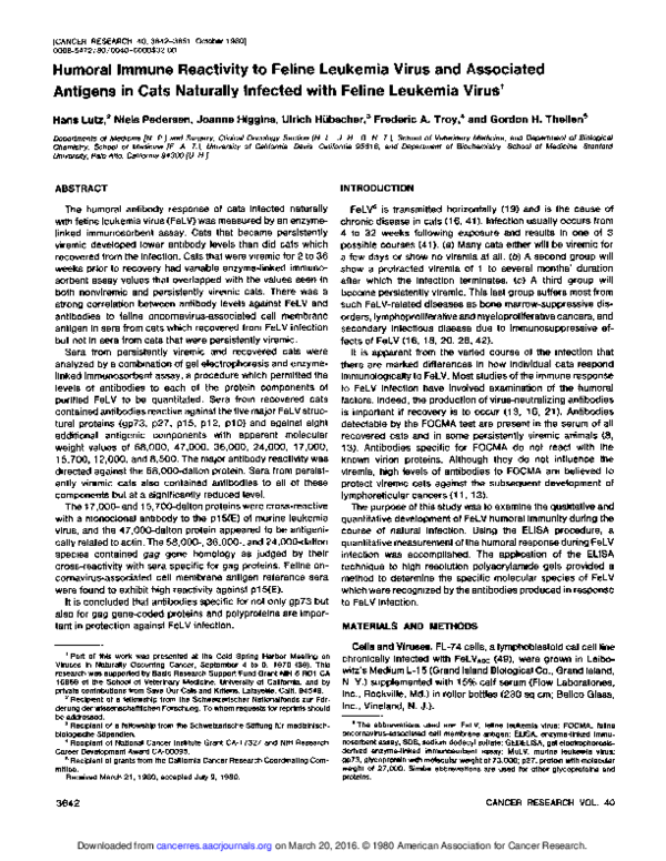 View of (PDF) Humoral Immune Reactivity to Feline Leukemia Virus and Associated ...