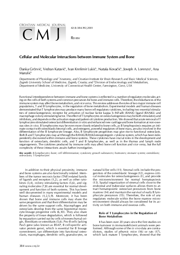 (PDF) Cellular and molecular interactions between immune system and bone