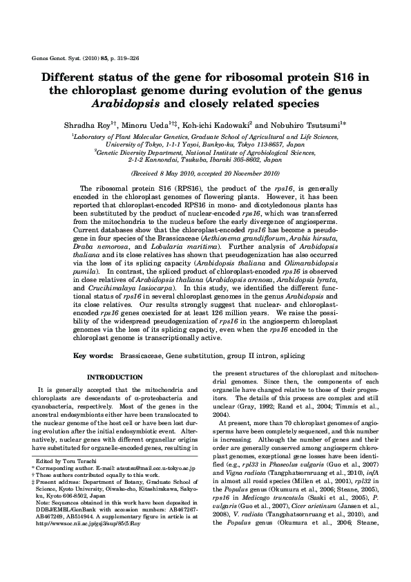 (PDF) Different status of the gene for ribosomal protein S16 in the ...