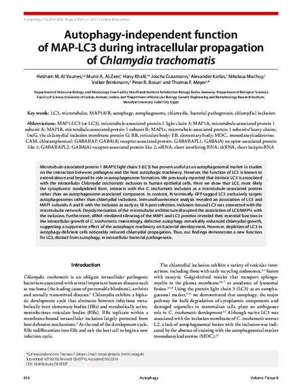 (PDF) Autophagy-independent function of MAP-LC3 during intracellular ...