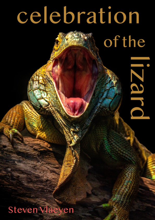 (PDF) celebration of the lizard