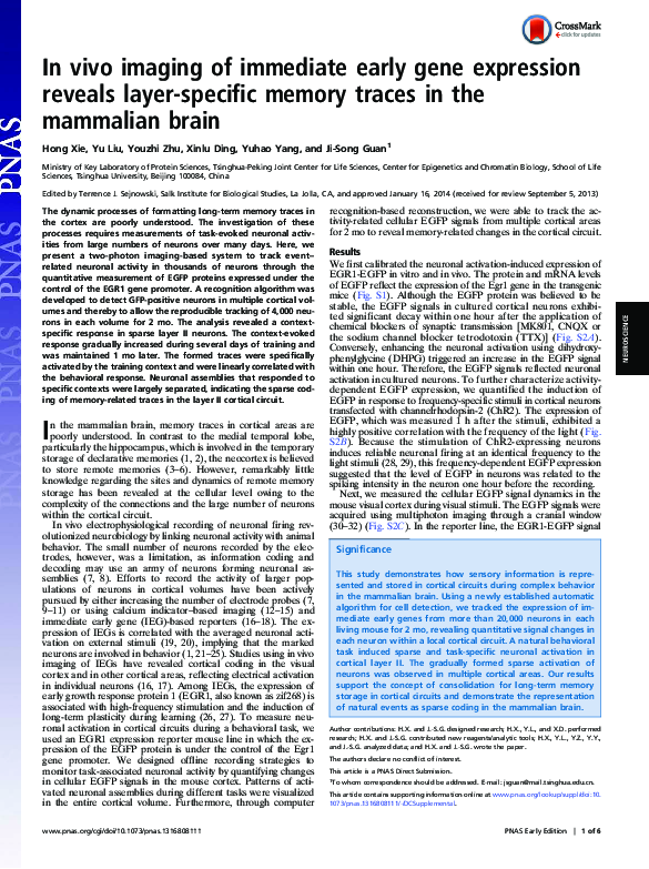 (PDF) In vivo imaging of immediate early gene expression reveals layer ...