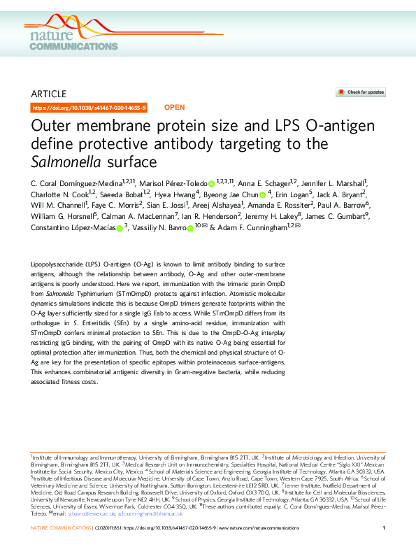 (PDF) Outer membrane protein size and LPS O-antigen define protective ...
