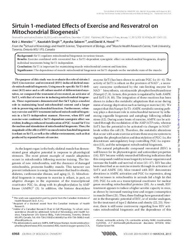 (PDF) Sirtuin 1-mediated Effects of Exercise and Resveratrol on ...