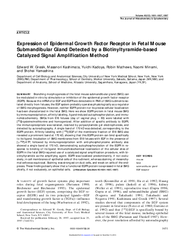 (PDF) Expression of the Epidermal Growth Factor Receptor Family in ...
