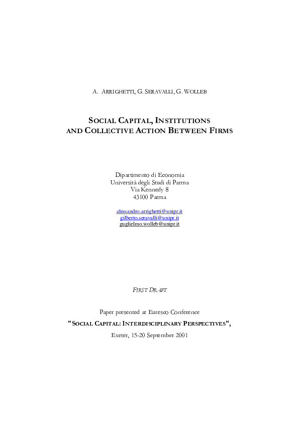 (PDF) Social Capital, institutions and collective action between firms