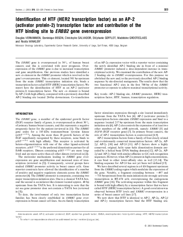 (PDF) Identification of HTF (HER2 transcription factor) as an AP-2 ...