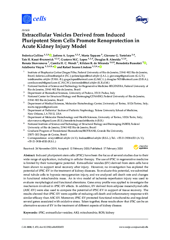 (PDF) Extracellular Vesicles Derived from Induced Pluripotent Stem ...
