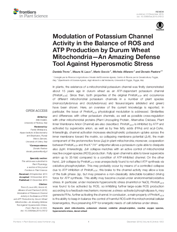 (PDF) Modulation of Potassium Channel Activity in the Balance of ROS ...