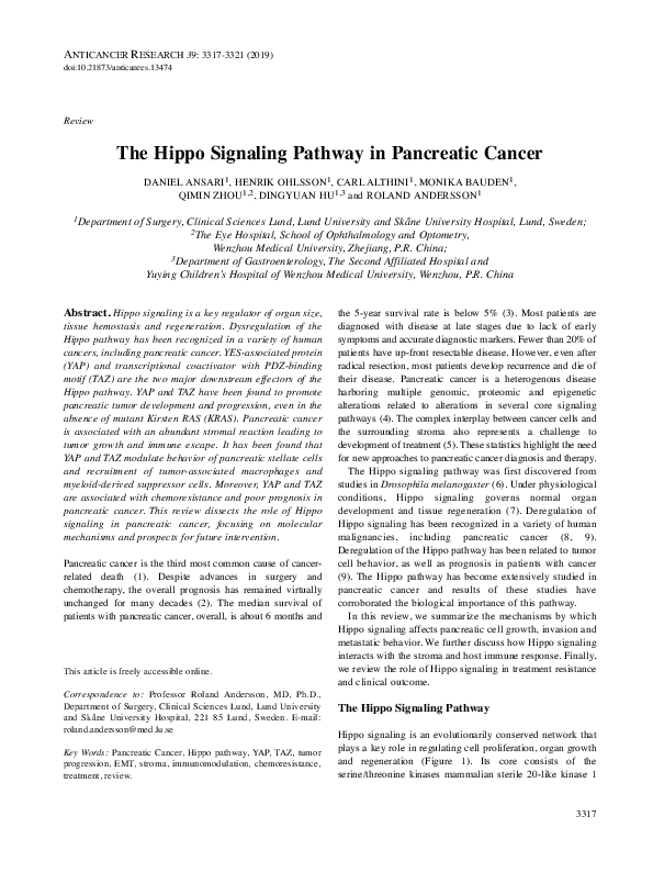 (PDF) The Hippo Signaling Pathway in Pancreatic Cancer