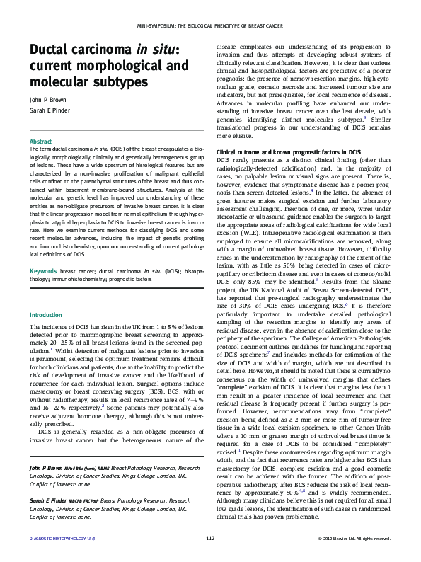 (PDF) Ductal carcinoma in situ: current morphological and molecular ...