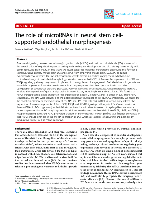 (PDF) The role of microRNAs in neural stem cell-supported endothelial ...