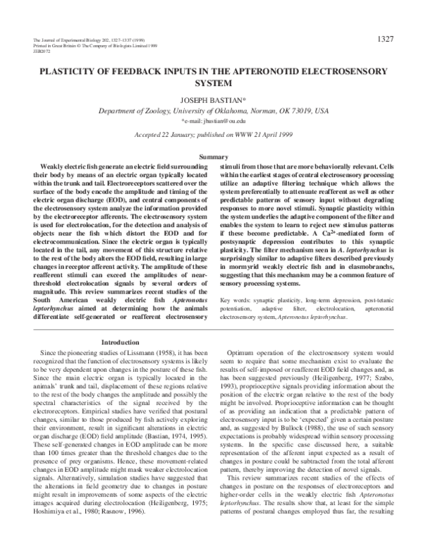 (PDF) Plasticity of feedback inputs in the apteronotid electrosensory ...