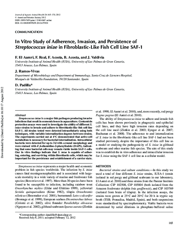 (PDF) In Vitro Study of Adherence, Invasion, and Persistence of ...