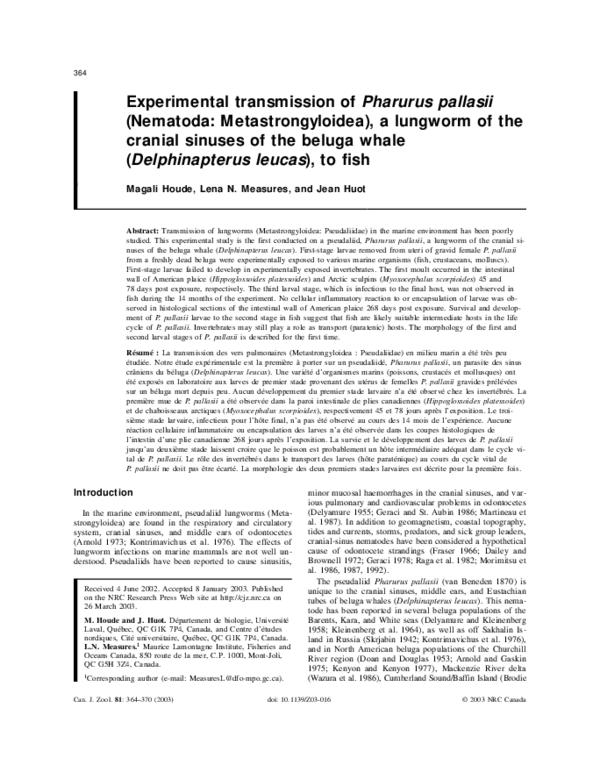 (PDF) Experimental transmission of Pharurus pallasii (Nematoda ...