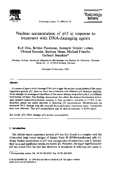 (PDF) Nuclear accumulation of p53 in response to treatment with DNA ...