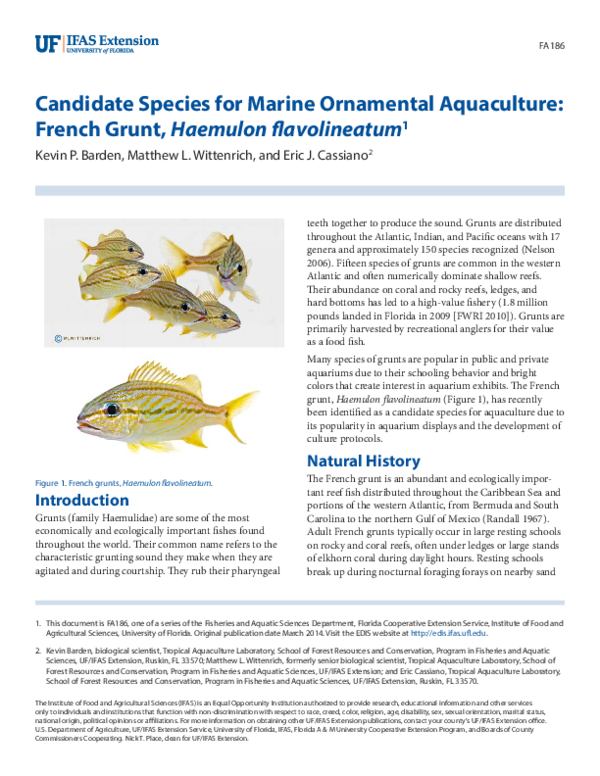 (PDF) Candidate Species for Marine Ornamental Aquaculture French Grunt