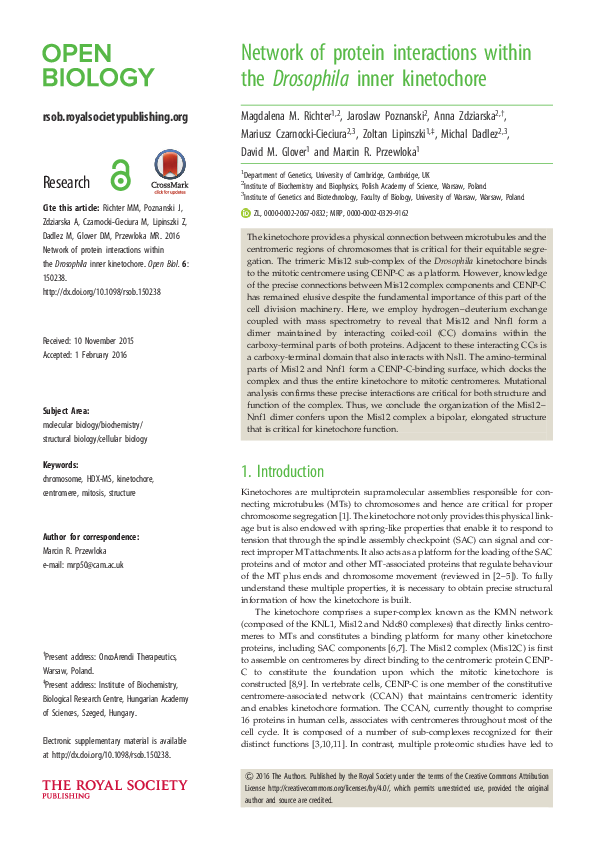 (PDF) Network of protein interactions within the Drosophila inner ...