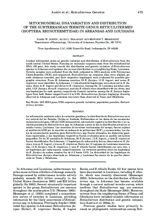 The subterraneans dvd image