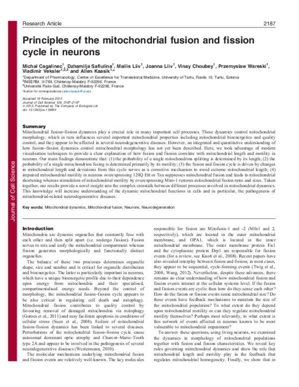 (PDF) Principles of the mitochondrial fusion and fission cycle in neurons