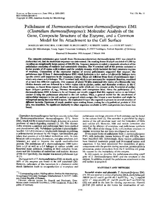 Pullulanase of Thermoanaerobacterium thermosulfurigenes EM1 (Clostridium thermosulfurogenes): molecular analysis of the gene, composite structure of the enzyme, and a common model for its attachment to the cell surface