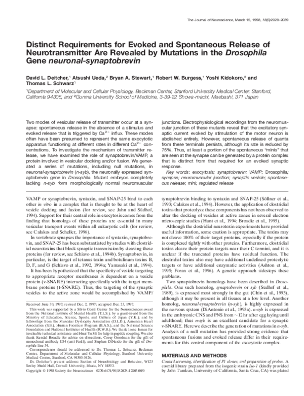 (PDF) Deitcher, D. L. et al. Distinct requirements for evoked and ...