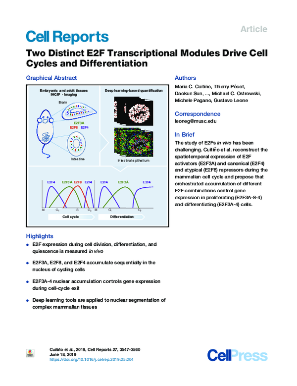(PDF) Two Distinct E2F Transcriptional Modules Drive Cell Cycles and ...