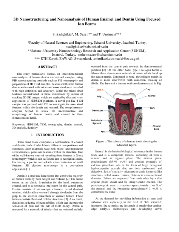 (PDF) 3D Nanostructuring and Nanoanalysis of Human Enamel and Dentin ...