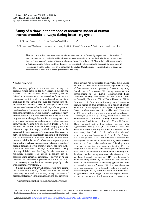 (PDF) Study of airflow in the trachea of idealized model of human ...