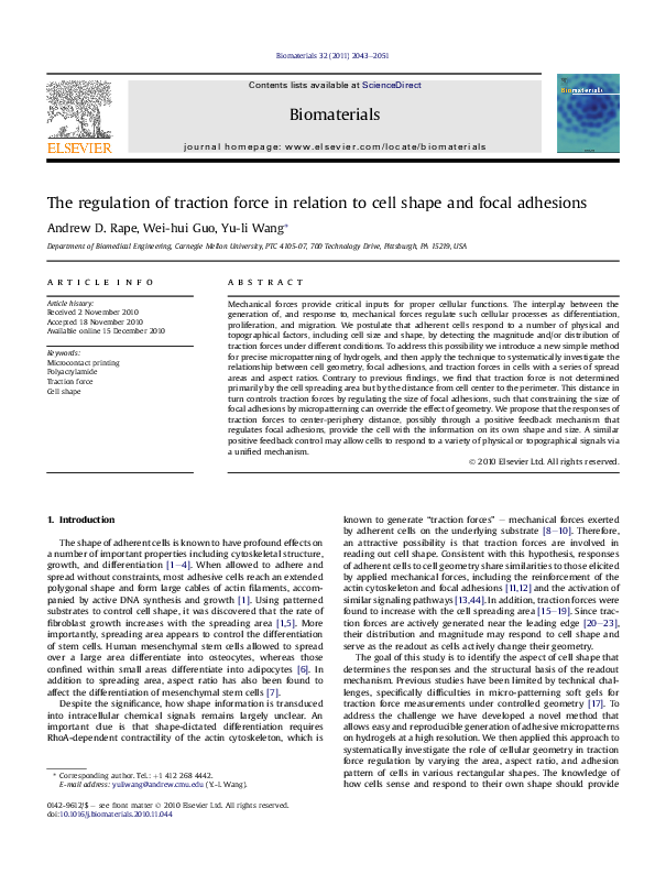 (PDF) The regulation of traction force in relation to cell shape and ...