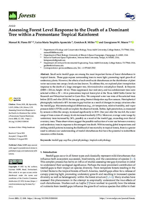 (PDF) Assessing Forest Level Response to the Death of a Dominant Tree ...