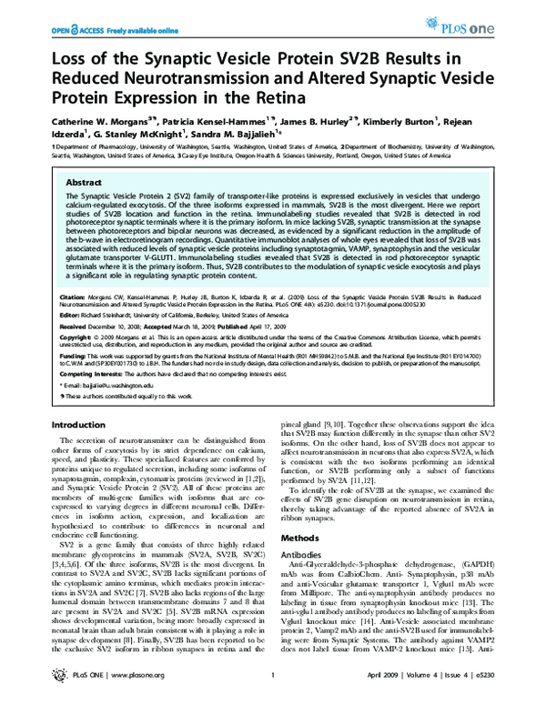 (PDF) Loss of the Synaptic Vesicle Protein SV2B Results in Reduced ...
