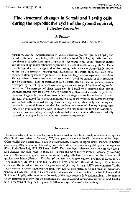 (PDF) Fine structural changes in Sertoli and Leydig cells during the ...