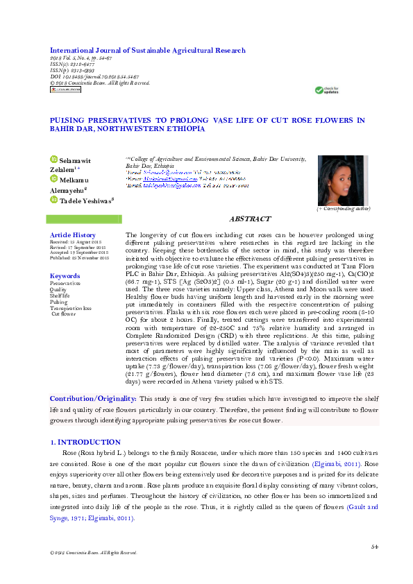 (PDF) Pulsing Preservatives to Prolong Vase Life of Cut Rose Flowers in