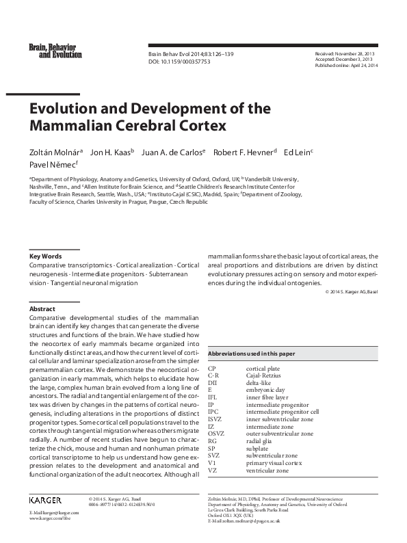(PDF) Evolution and development of the mammalian cerebral cortex