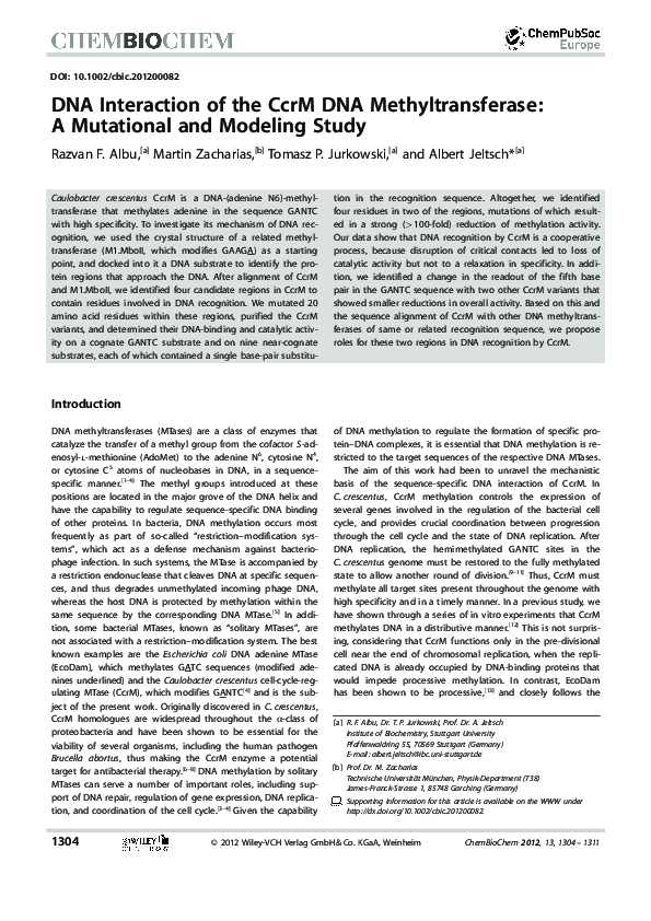 (PDF) DNA Interaction of the CcrM DNA Methyltransferase: A Mutational ...