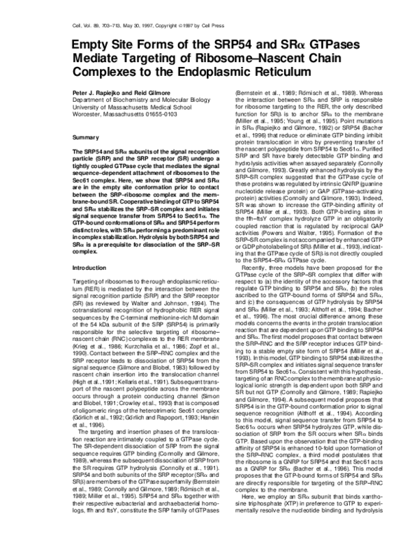 (PDF) Empty Site Forms of the SRP54 and SRα GTPases Mediate Targeting ...
