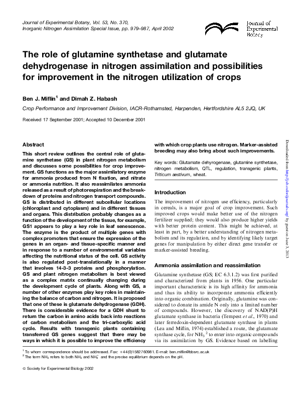 (PDF) The role of glutamine synthetase and glutamate dehydrogenase in ...