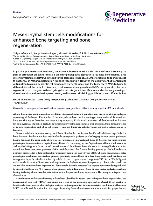 (PDF) Mesenchymal stem cells modifications for enhanced bone targeting ...