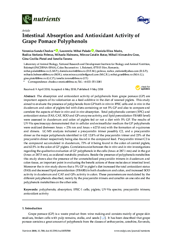 (PDF) Intestinal Absorption and Antioxidant Activity of Grape Pomace ...