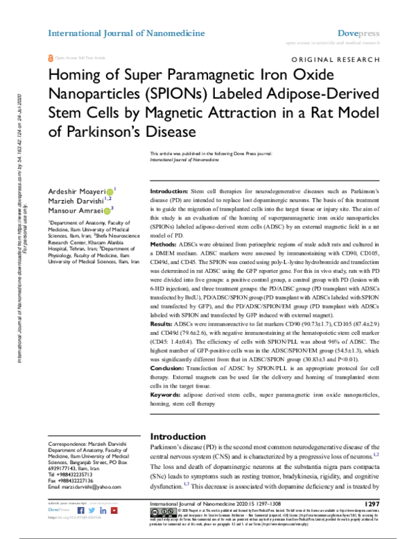 (PDF) Homing of Super Paramagnetic Iron Oxide Nanoparticles (SPIONs ...