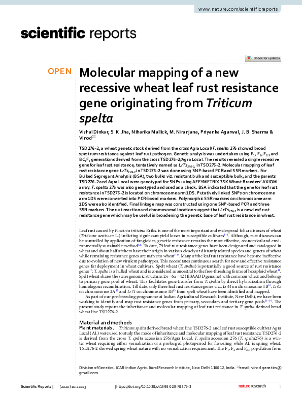 (PDF) Molecular mapping of a new recessive wheat leaf rust resistance ...