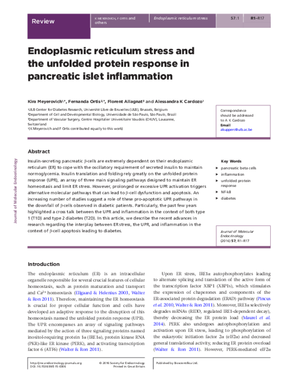 (PDF) Endoplasmic reticulum stress and unfolded protein response are ...