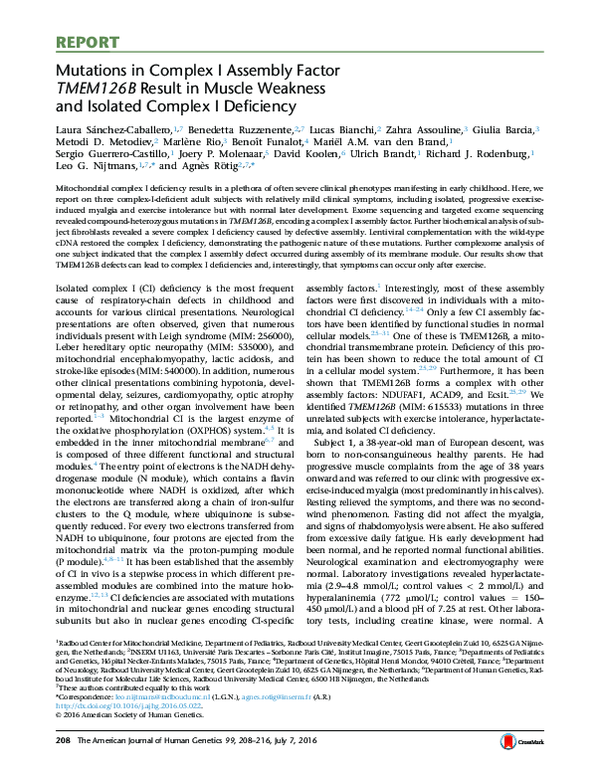 (PDF) Mutations in Complex I Assembly Factor TMEM126B Result in Muscle ...