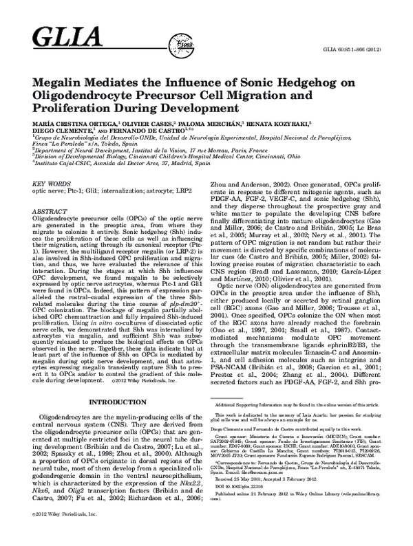 (PDF) Megalin mediates the influence of sonic hedgehog on ...
