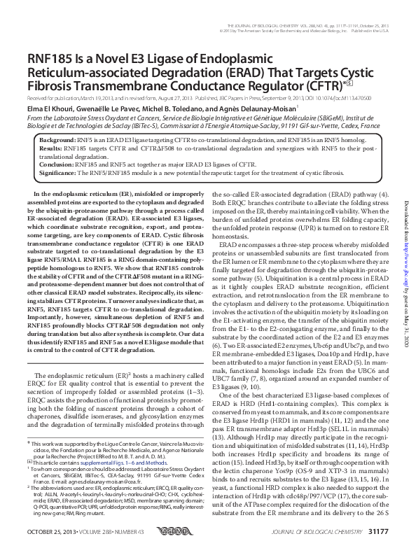 (PDF) RNF185 Is a Novel E3 Ligase of Endoplasmic Reticulum-associated ...
