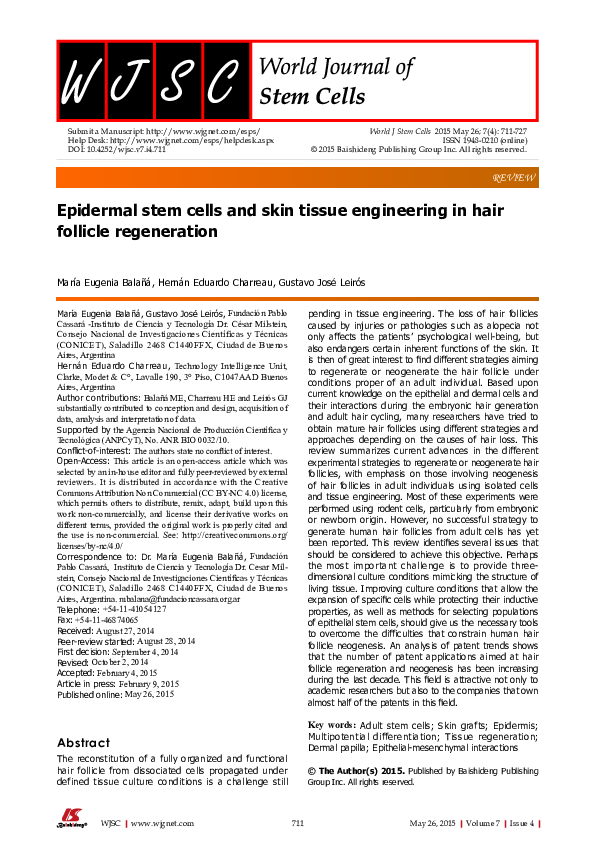(PDF) Epidermal stem cells and skin tissue engineering in hair follicle ...