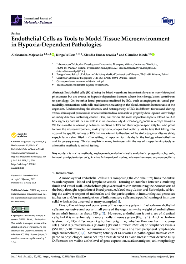 (PDF) Endothelial Cells as Tools to Model Tissue Microenvironment in ...
