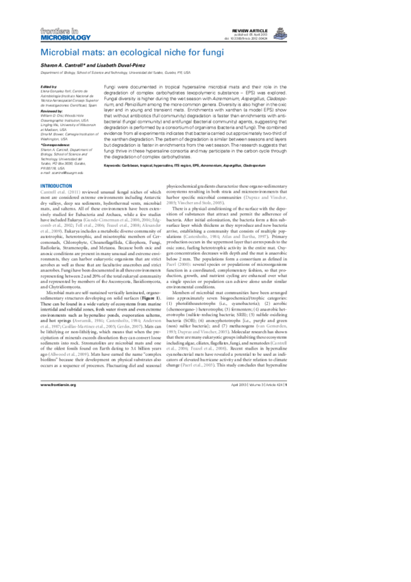 (PDF) Microbial mats an ecological niche for fungi Sharon A Cantrell