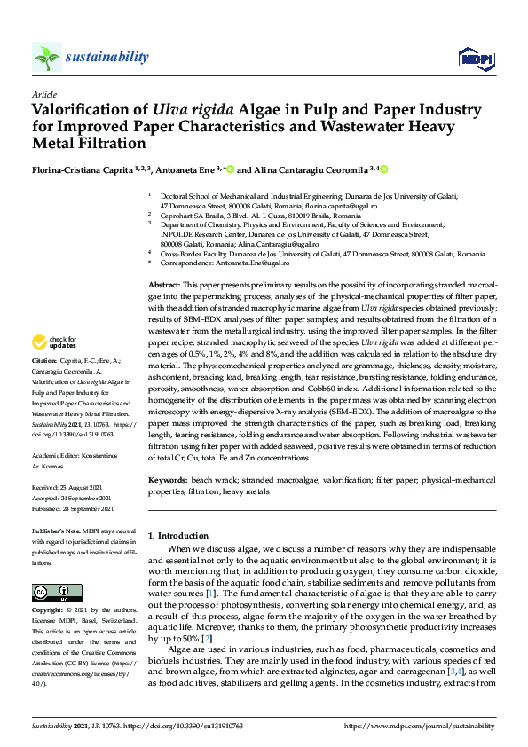 (PDF) Valorification of Ulva rigida Algae in Pulp and Paper Industry